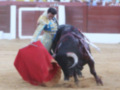 Un torero con un chaleco azul y una capa roja se enfrenta a un toro negro en una plaza de toros. El torero sostiene el capote rojo mientras el toro lucha por el cuerno. La arena es de tierra y los espectadores observan desde la grada.