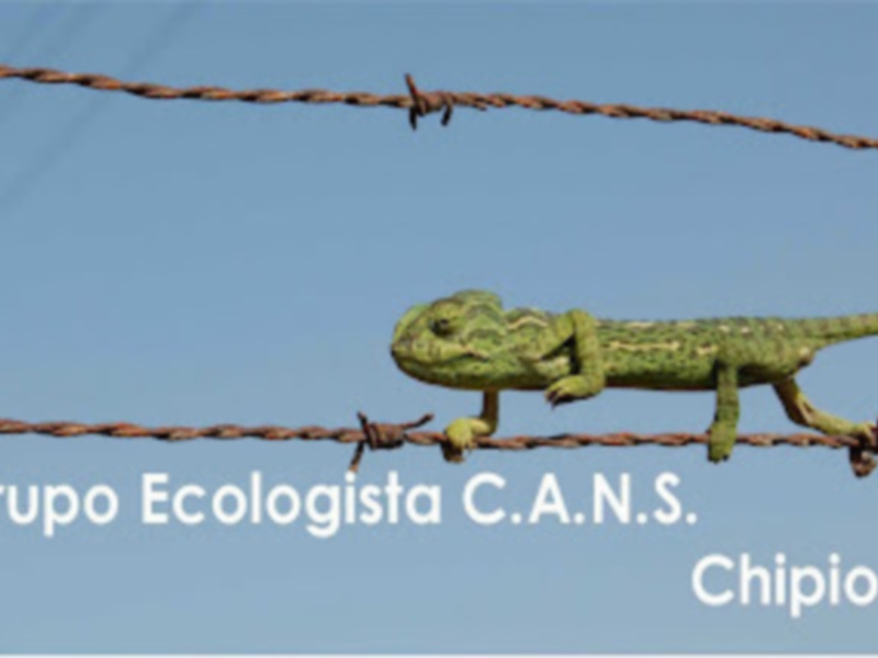 Un camaleón posa sobre una alambrada en Chipiona, Cádiz, promoviendo la ecología y el cuidado del medio ambiente.