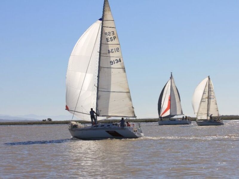 Tres veleros navegando en el mar, con un cielo azul claro y una costa en el fondo.