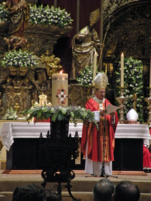 Sevilla.Apertura del año de la fe, presidida por el arzobispo Juan José Asenjo  en la Catedral Hispalense.