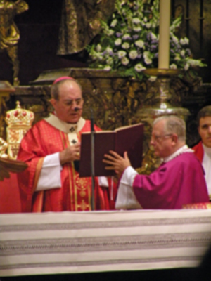 Sevilla.Apertura del año de la fe, presidida por el arzobispo Juan José Asenjo  en la Catedral Hispalense.