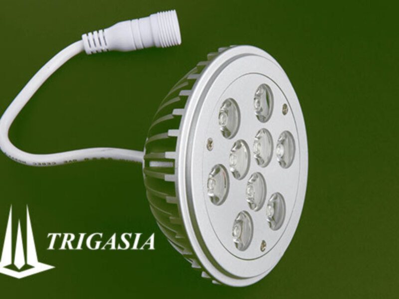 Lámpara LED de Trigasia con 9 focos, cableado incluido.