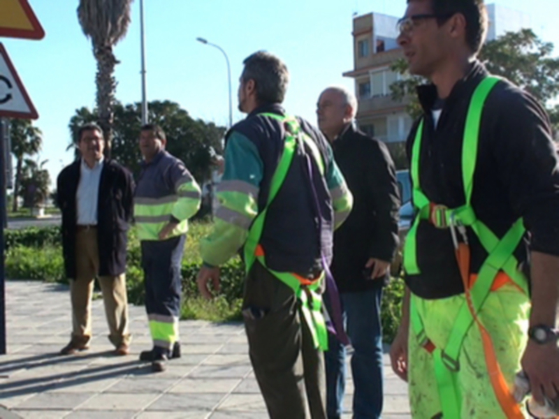 Gente caminando en un parque con palmeras y edificios en el fondo.