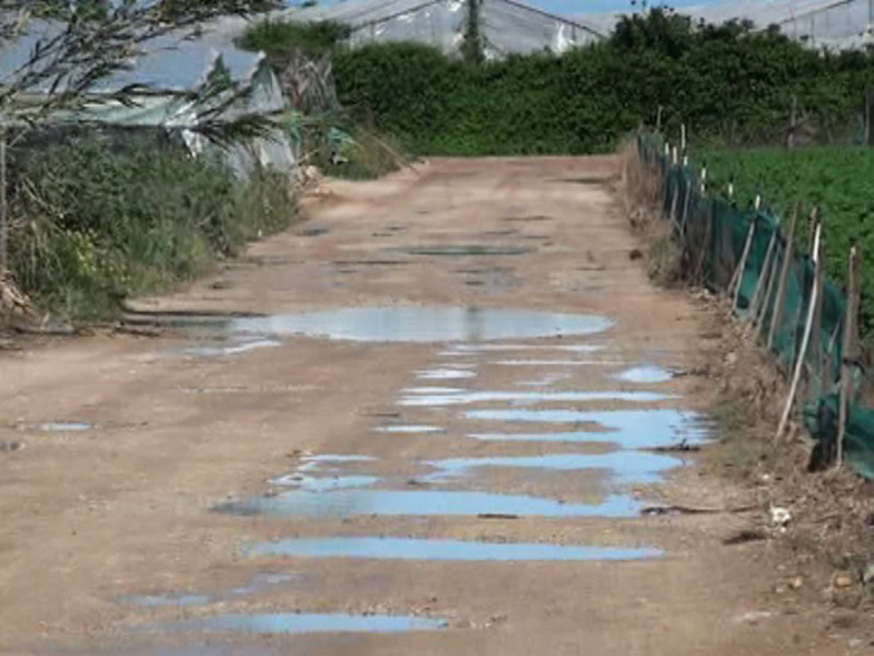 Carretera rural con charcos y vegetación alrededor, cerca de invernaderos.