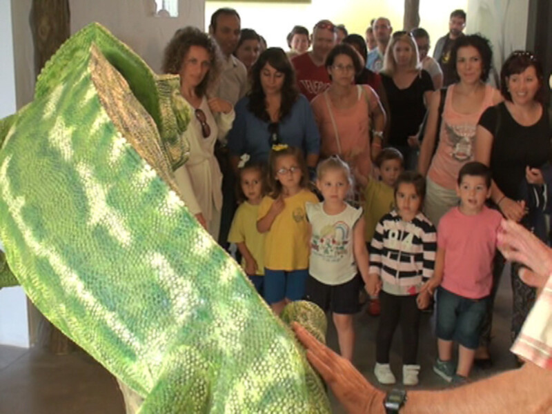 Un grupo de personas observa atentamente a un gran reptil verde, posiblemente un pitón, en un entorno interior.