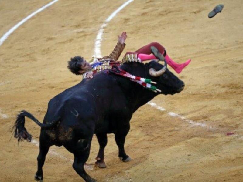 Un torero lucha con un toro en una corrida de toros, mostrando habilidad y valentía.