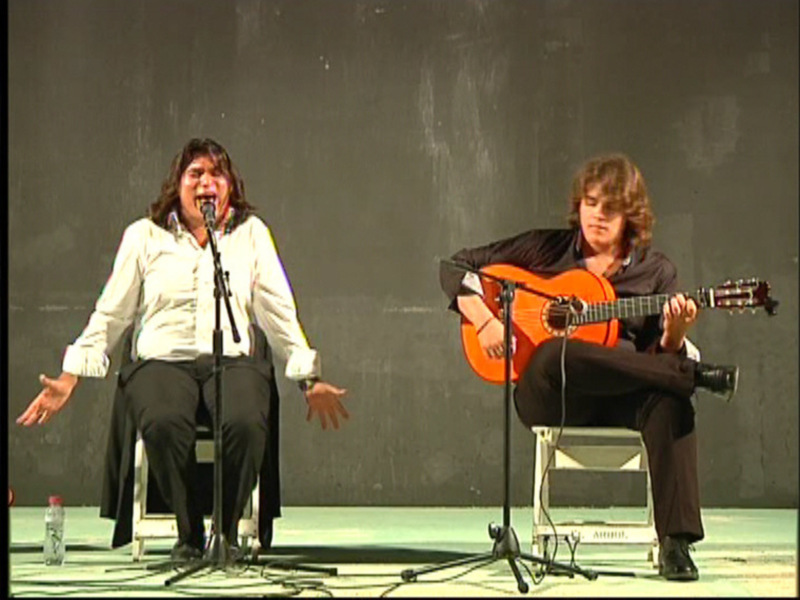 Una pareja de músicos en escenario, uno cantando y el otro tocando la guitarra acústica.