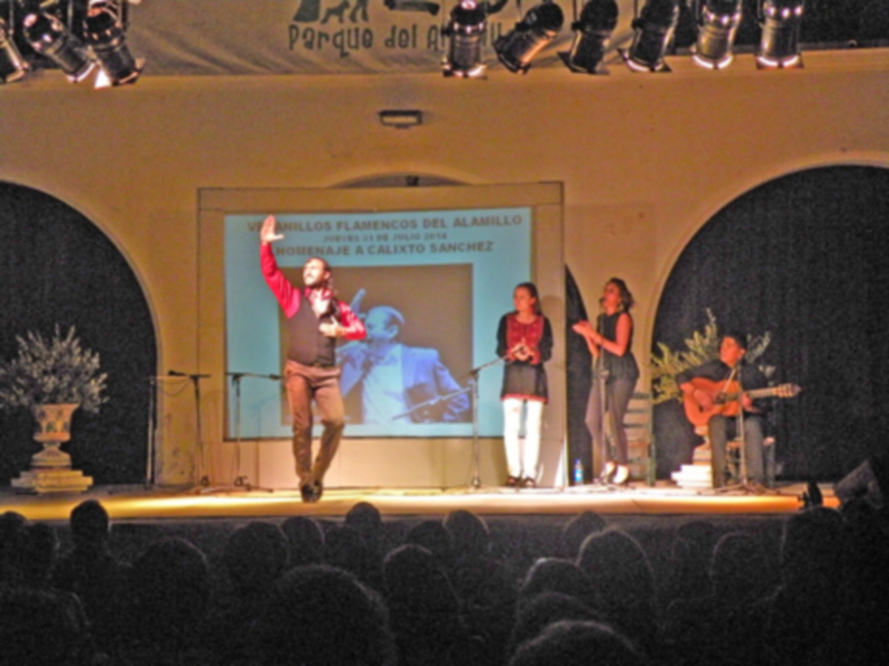 SEVILLA. Veranillo flamenco en el cortijo del Alamillo. 2014