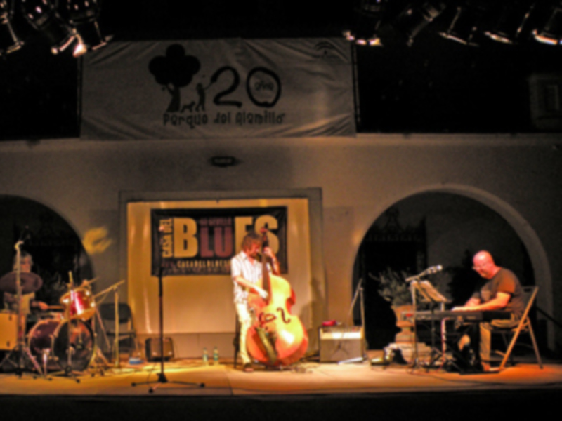 Concierto de blues en vivo con una banda tocando en una escenografía iluminada al aire libre.