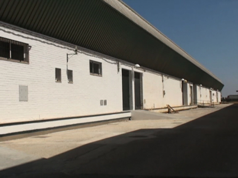 Fachada de un edificio industrial con puertas de acceso y ventanas en la parte superior.