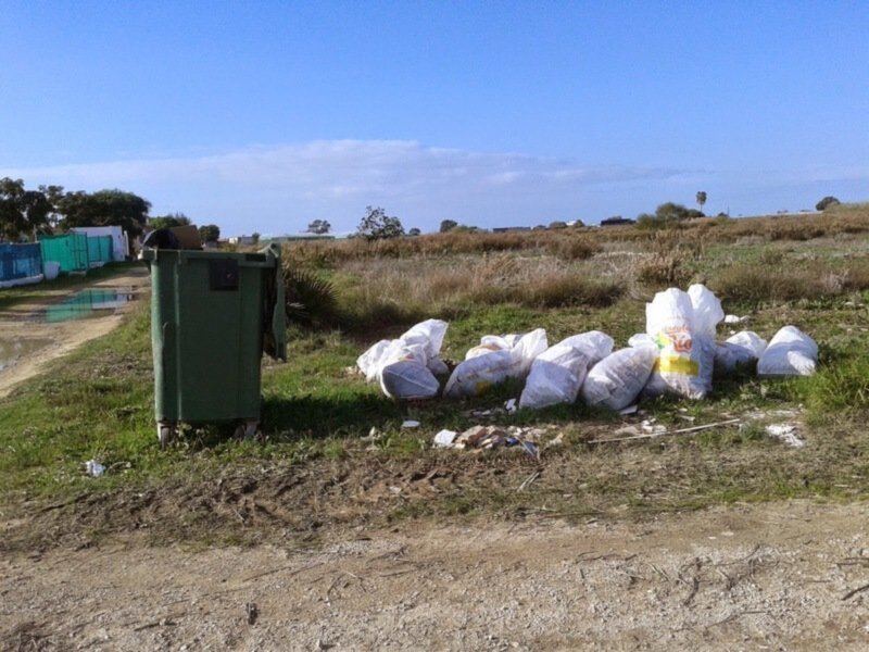 Área rural con contenedor de basura y bolsas de basura en el suelo, cerca de un camino y edificios verdes.