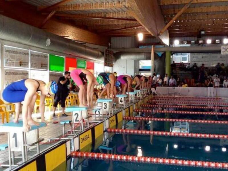 Atletas en la línea de partida de una competencia de natación en una piscina cubierta.