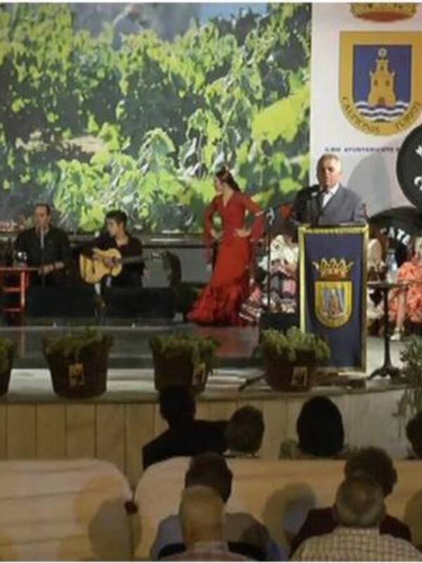 Actuación de flamenco en un evento público con música y baile tradicional.