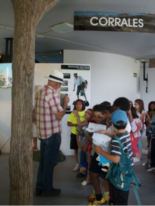 Visita guiada en un museo de naturaleza con niños y adultos aprendiendo sobre el ecosistema costero.
