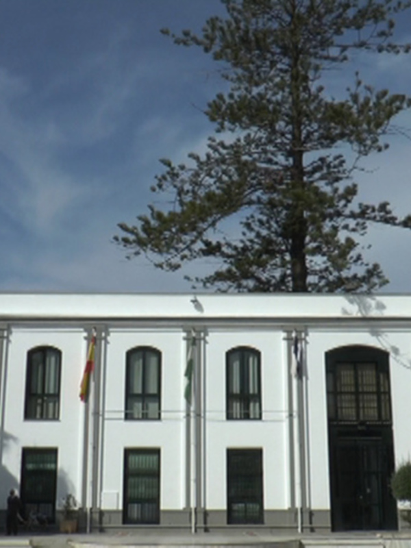 Fachada del Ayuntamiento de Marbella, España, bajo un cielo azul con palmeras y árboles en el frente.