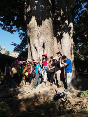 Los turistas disfrutan en los parques y jardines de Sevilla.