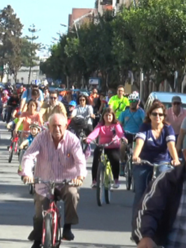 Ciclistas en una calle con árboles y coches al lado