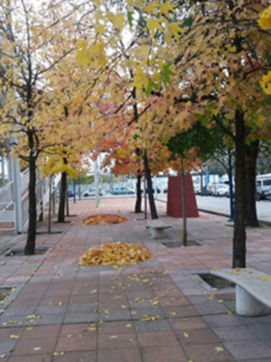 Sevilla y su Otoño tardío