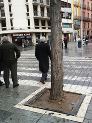 Barreras arquitectónicas y alcorques en la vía pública.