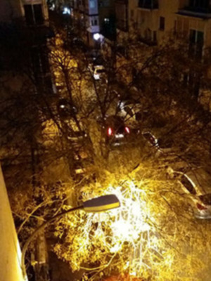 Iluminación y arbolado viario.