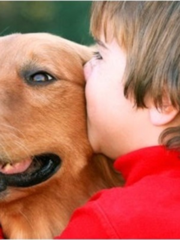 Un niño abraza a su perro, mostrando una fuerte conexión emocional entre ambos.