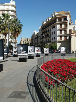 Exposición en Puerta de Jerez