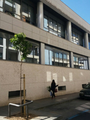 Reposición del arbolado en las calles de Sevilla