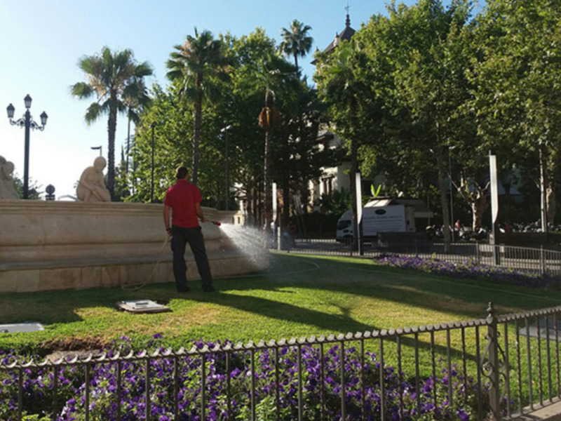 Un hombre rocía el césped en un parque con una fuente y árboles al fondo.