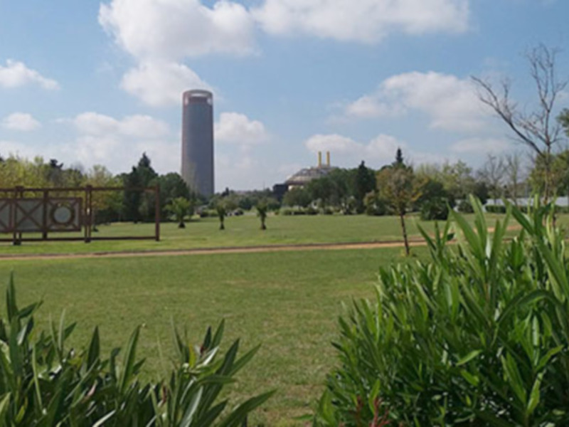 Parque con pradera, árboles y edificio moderno al fondo bajo un cielo azul con nubes.