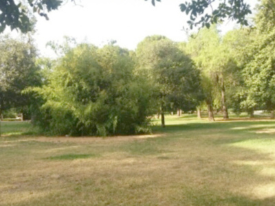 Por qué se secan los parques en verano ?