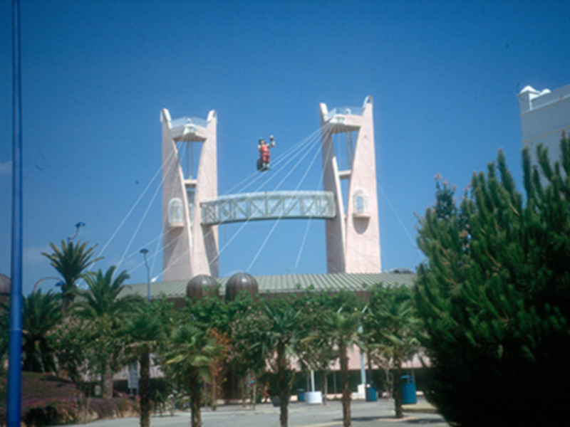 Ponte levante con estructura moderna y palmeras alrededor en un día soleado.
