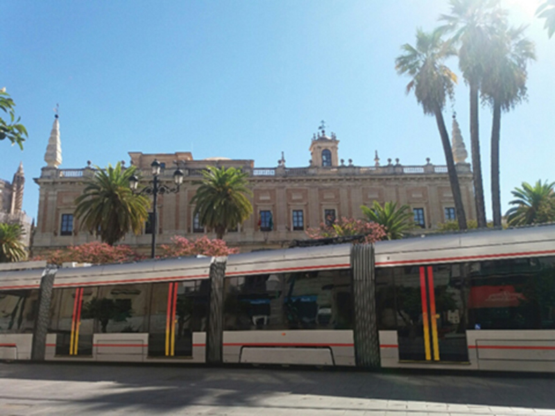 Un tranvía moderno frente a un edificio histórico con palmeras en un día soleado.