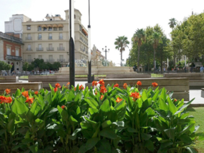 Los turistas prefieren ciudades seguras, limpias y con bonitos parques y jardines