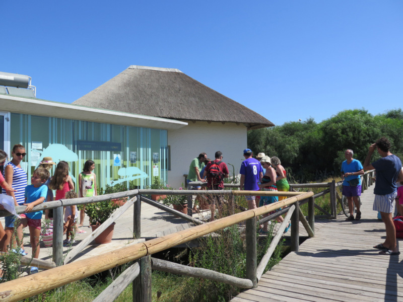 People enjoying a sunny day at a beachside building with a thatched roof, surrounded by lush greenery and a wooden walkway.