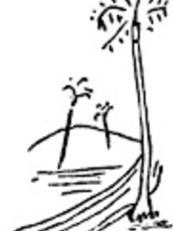 Una ilustración de un árbol seco y caído en un paisaje desolado, con el sol brillando en el cielo.