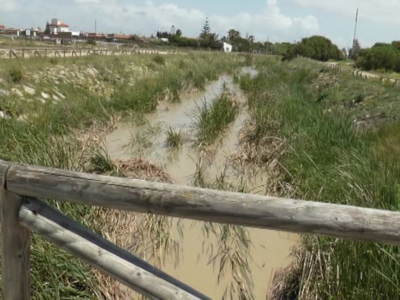 Río con vegetación y edificios en el fondo, cerca de una valla de madera.