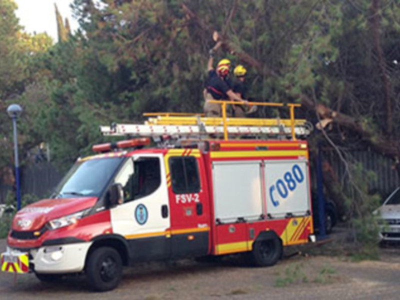 Equipo de bomberos trabajando en la remoción de un árbol caído, junto a un vehículo de emergencia.