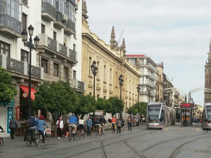 Calle con tranvías, ciclistas y edificios históricos en una ciudad europea.