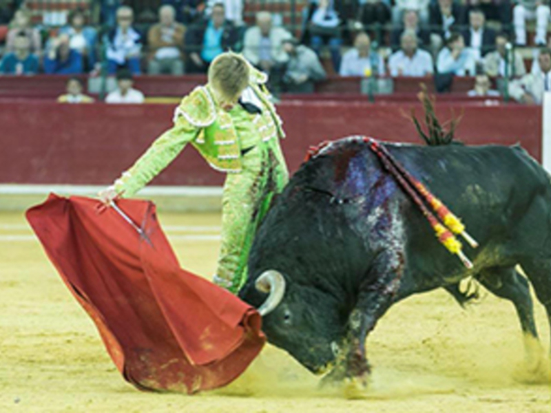 Un torero realiza una faena durante una corrida de toros en un ruedo lleno de espectadores.