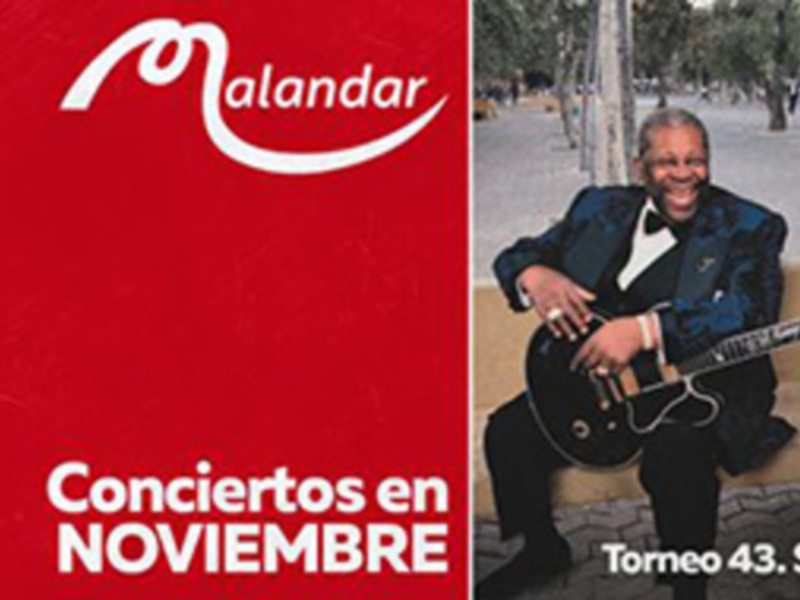 Concierto de Malandar en Torneo 43, Sevilla, noviembre