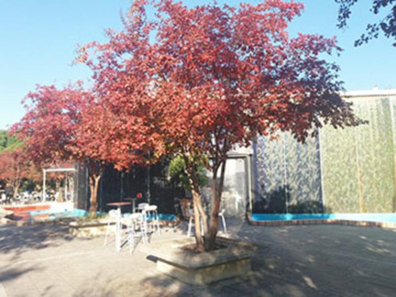Sevilla en Otoño muestra una nueva gama de colores en calles plazas.
