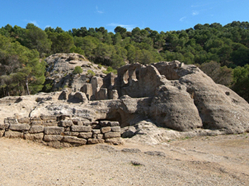 Ruinas de una antigua construcción en medio de un paisaje natural con árboles en el fondo y un cielo azul claro.