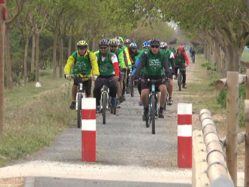 Equipo ciclista en ruta, con cascos y camisetas verdes, recorriendo un camino flanqueado por árboles.