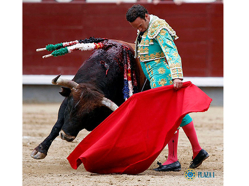 Un torero en traje de luces realiza una faena con un toro en una plaza de toros.