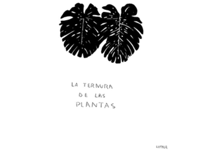 Ilustración de hojas tropicales con texto 'LA TERMURA DE LAS PLANTAS'