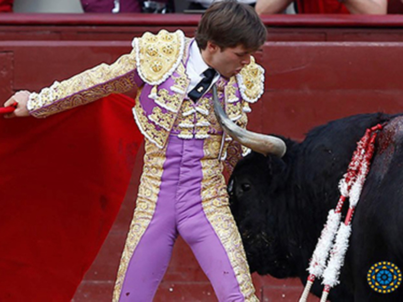 Un torero en traje tradicional de color púrpura y dorado, con un capote rojo en la mano, enfrentándose a un toro negro en una plaza de toros.