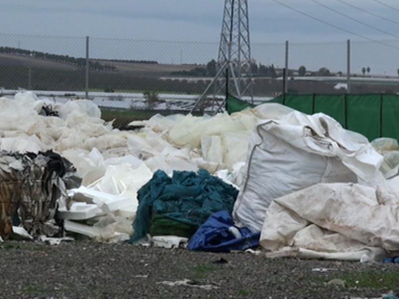 Pila de bolsas de plástico en un vertedero, con un fondo de vegetación y una estructura metálica en el horizonte.