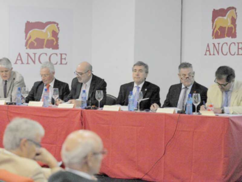 Un grupo de personas se reúnen en una mesa con un fondo que muestra el logotipo de ANCCE.
