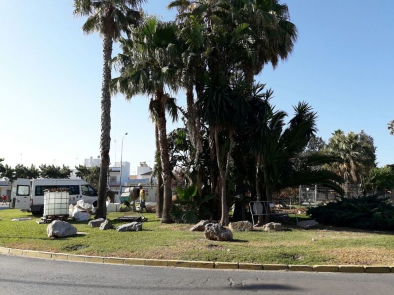 Árboles de palma y piedras en un entorno urbano con vehículos y edificios en el fondo.