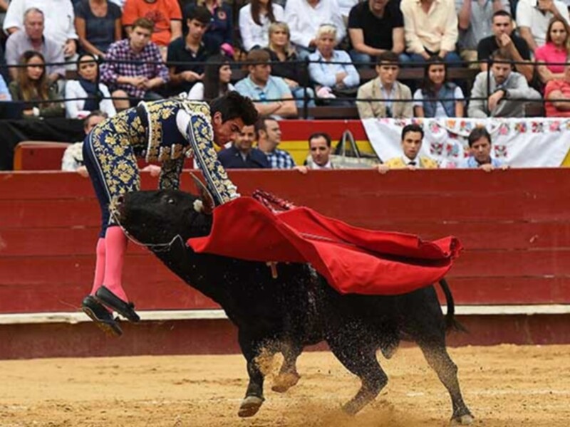 Un torero en acción durante una corrida de toros en un anfiteatro lleno de espectadores.